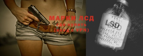 spice Сатка