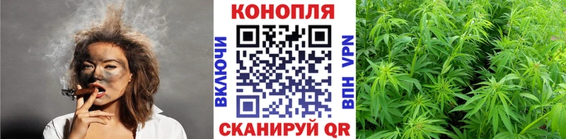 Шишки марихуана Amnesia  Ардон 